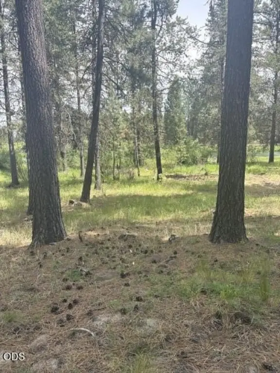 Picture 7