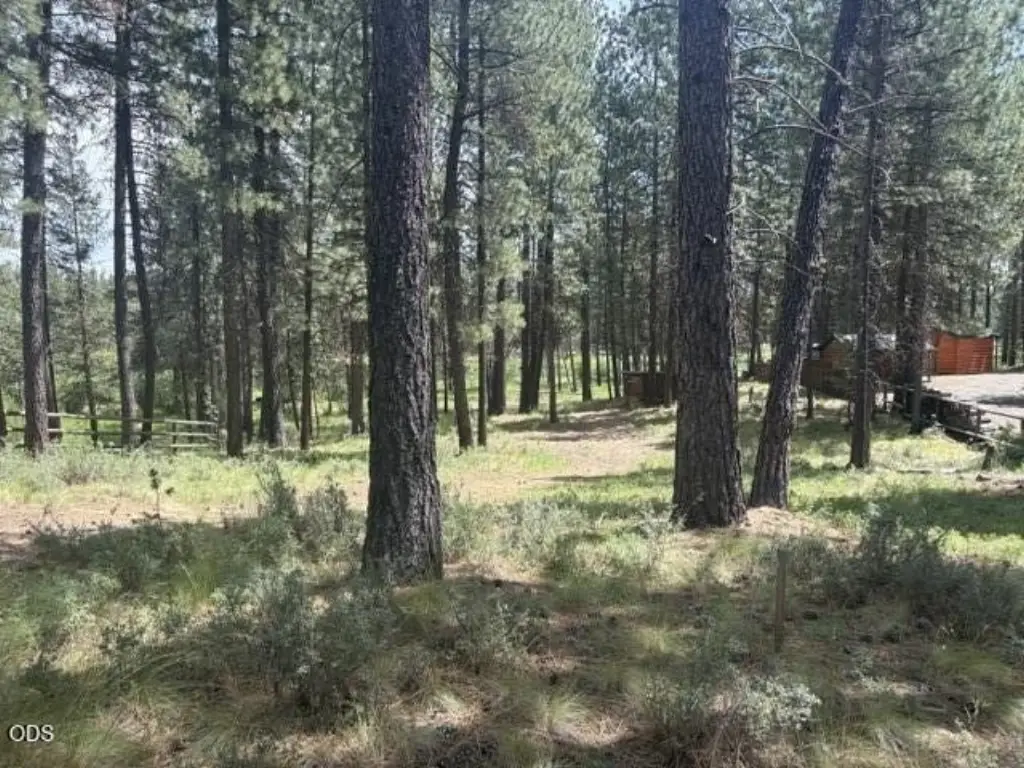 Picture 26