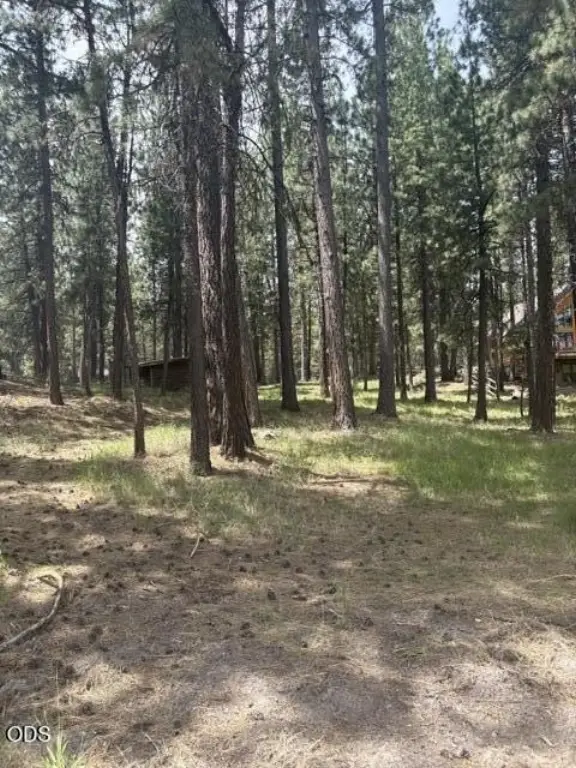 Picture 25