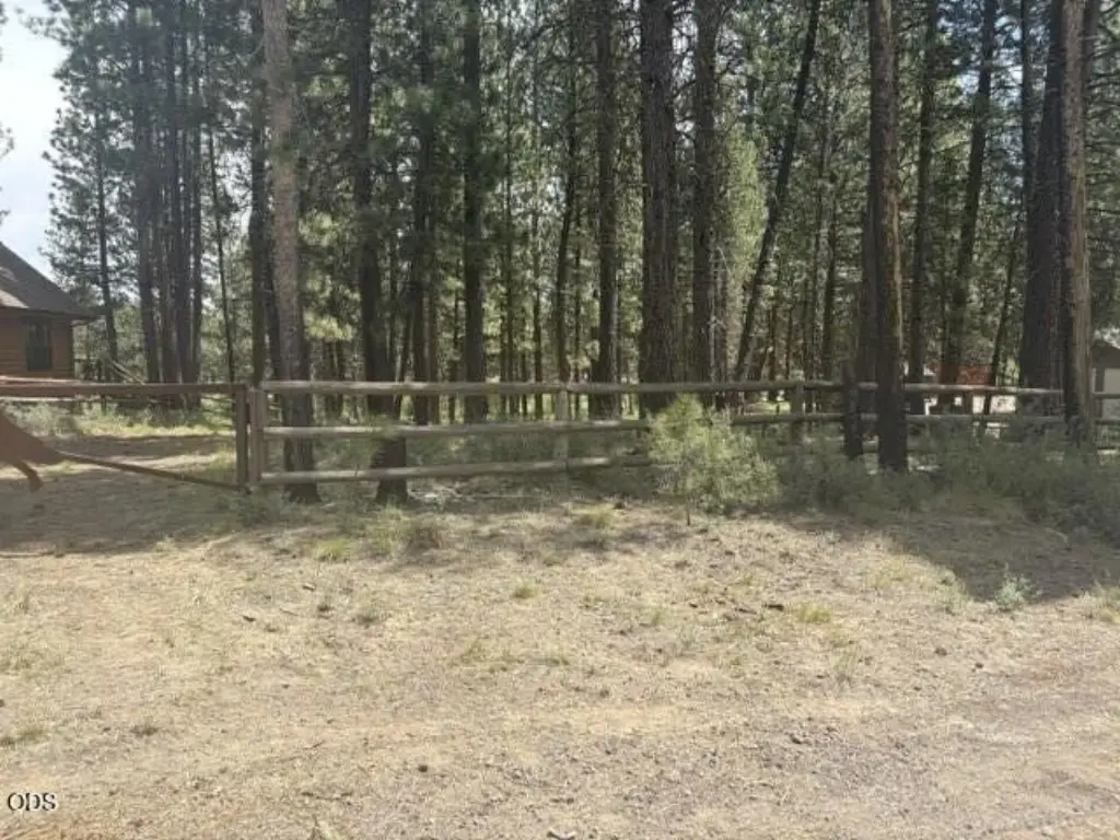Picture 28