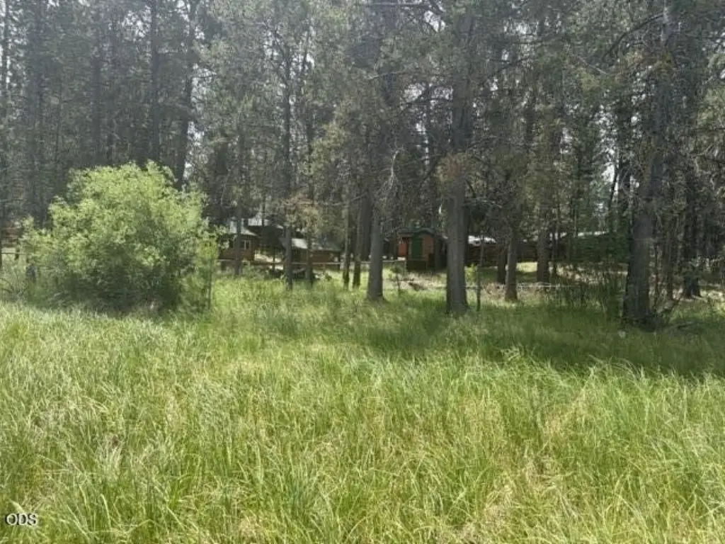 Picture 19