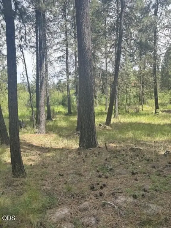 Picture 8