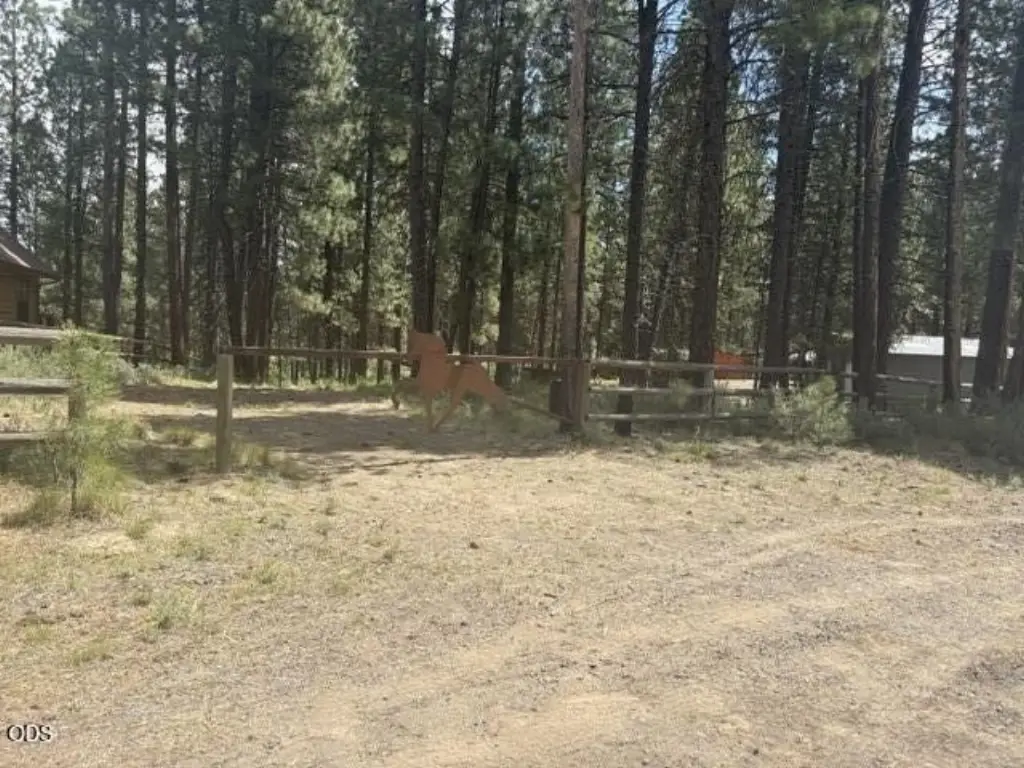 Picture 29