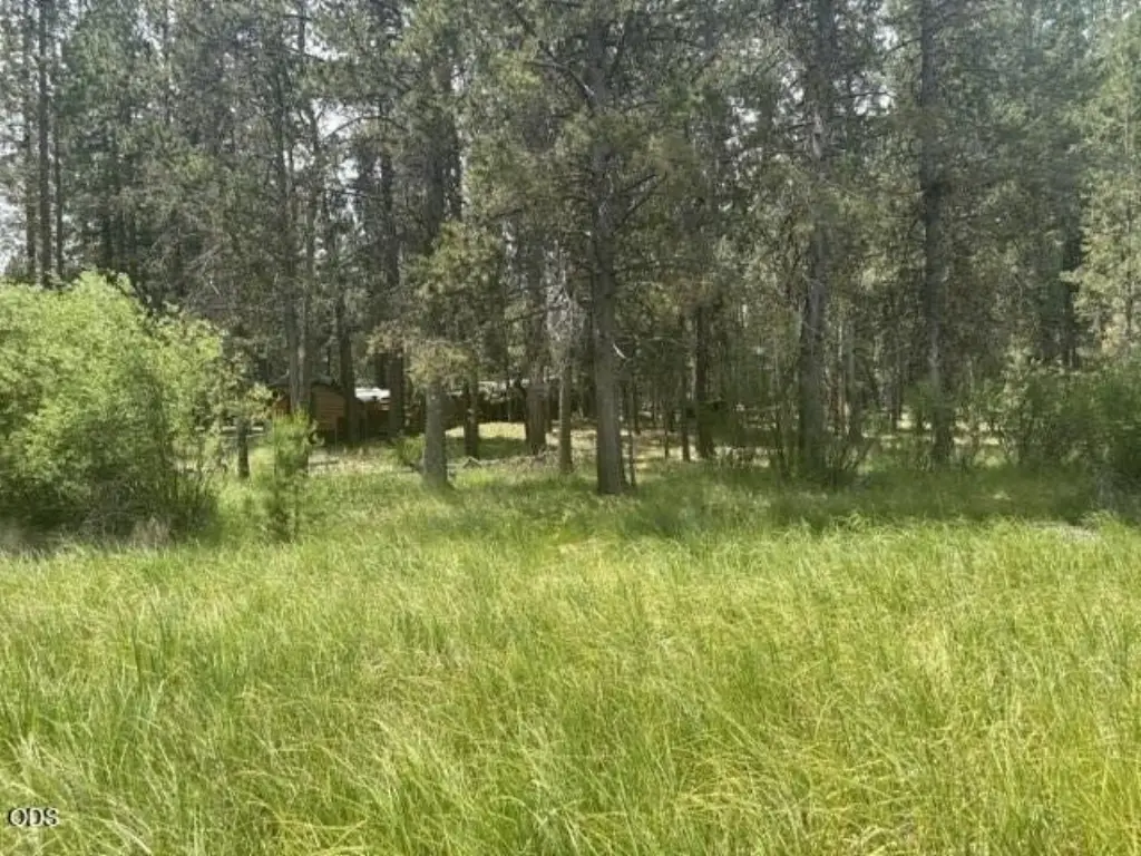 Picture 20