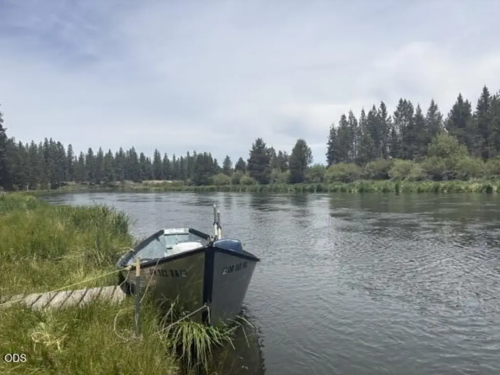 Picture 24
