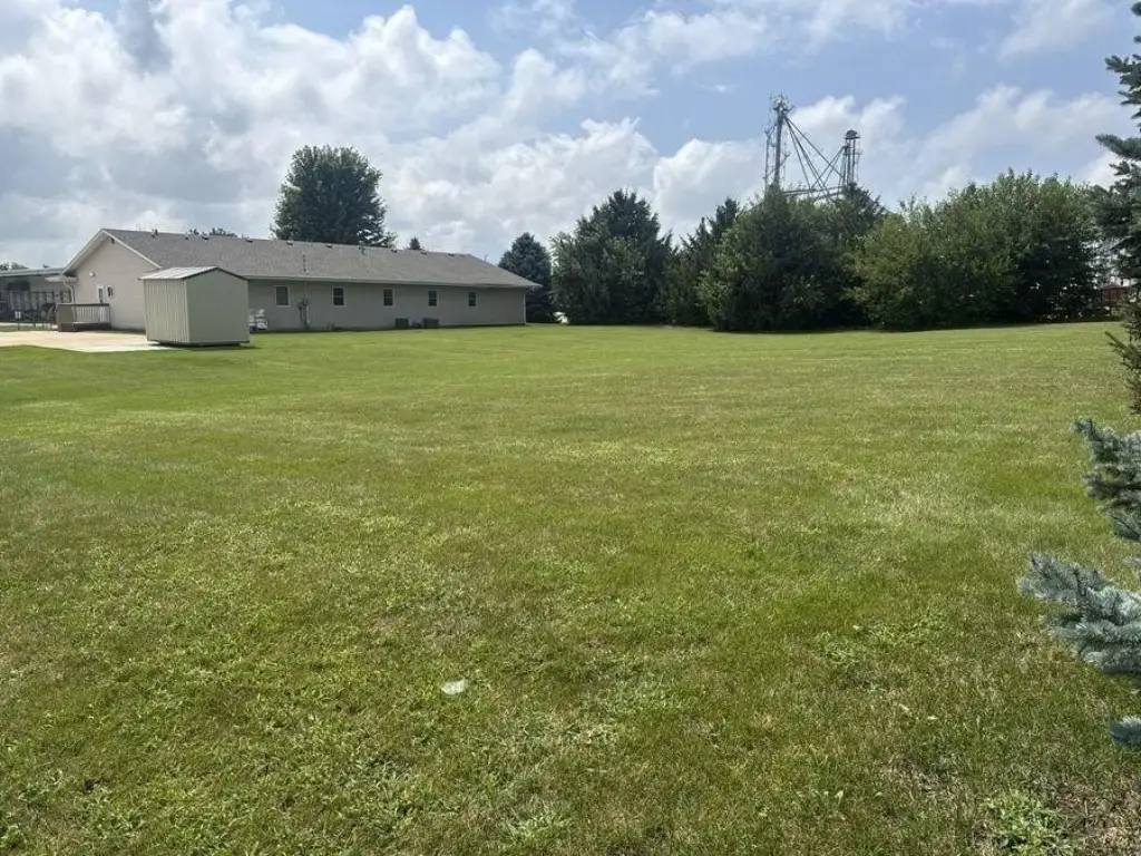 Picture 6