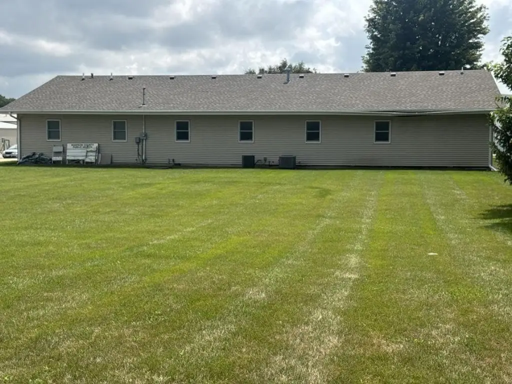 Picture 5