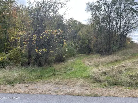 Vacant Land Near Williamsport