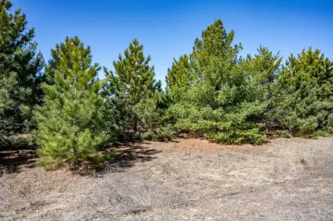 Lakeside Lot in Stone Gate