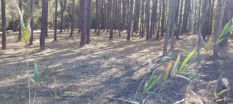 Residential Land in Country Setting