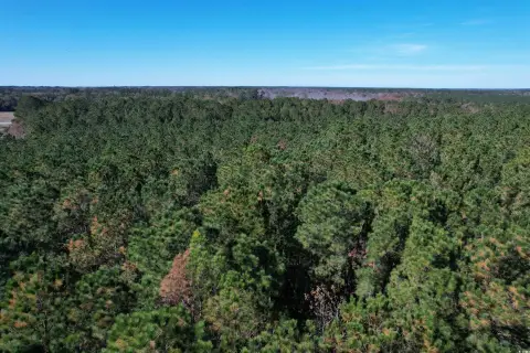 Andrews, SC Industrial Lot