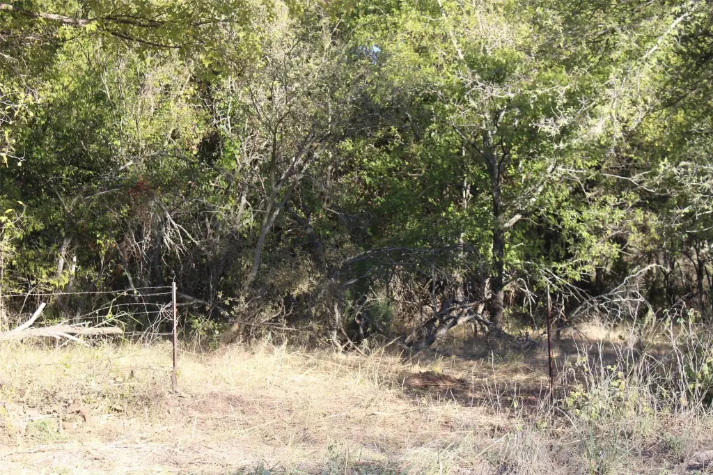 Picture 13
