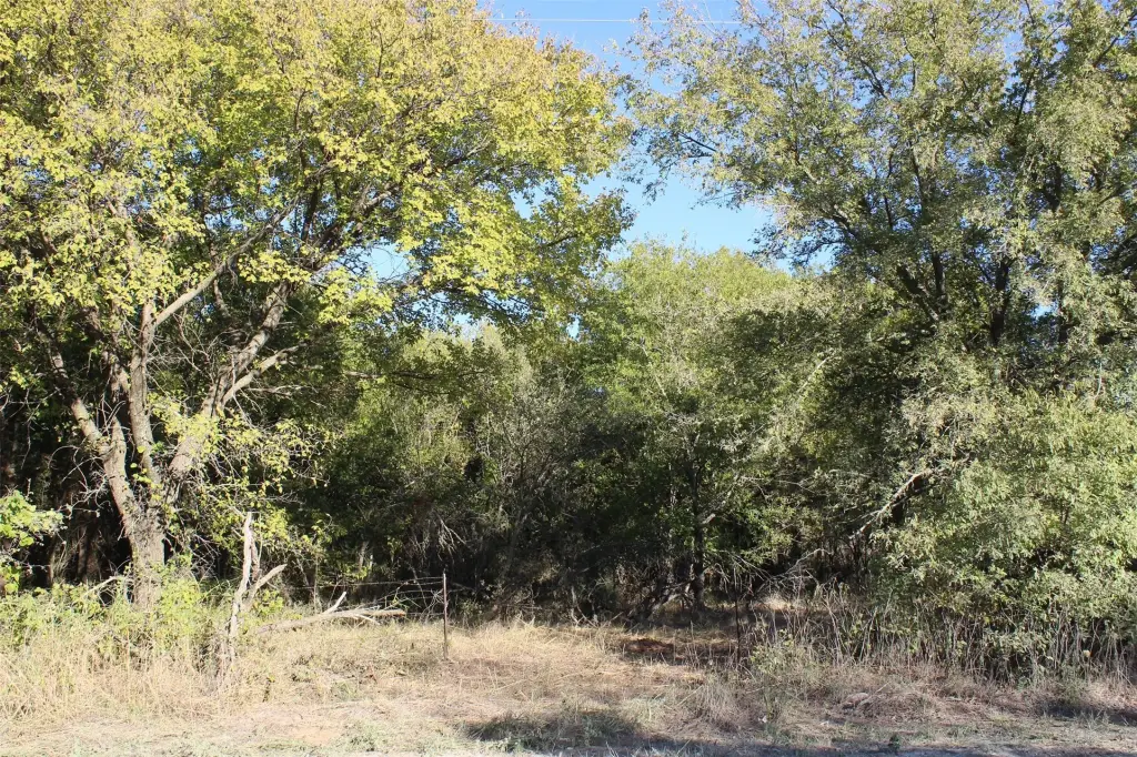Picture 10