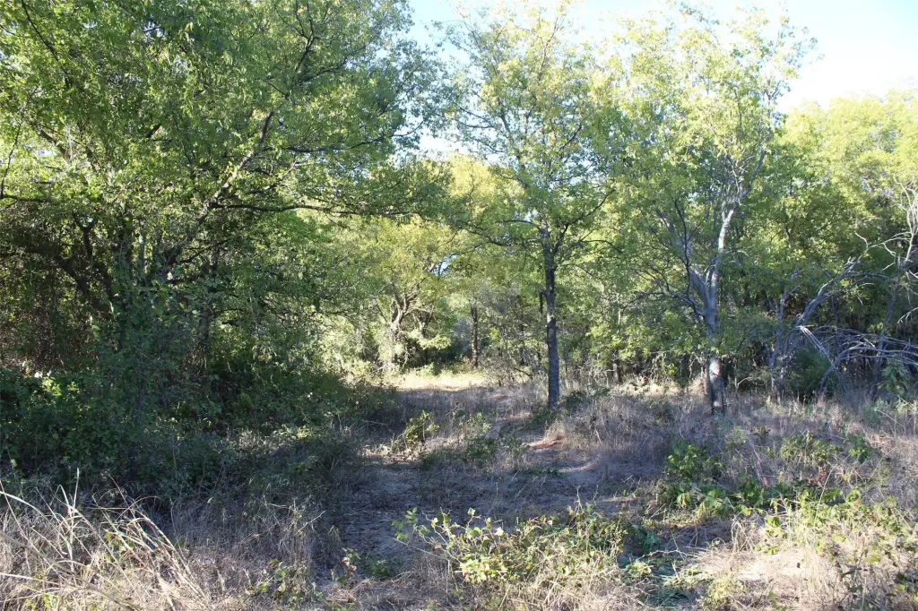 Picture 3