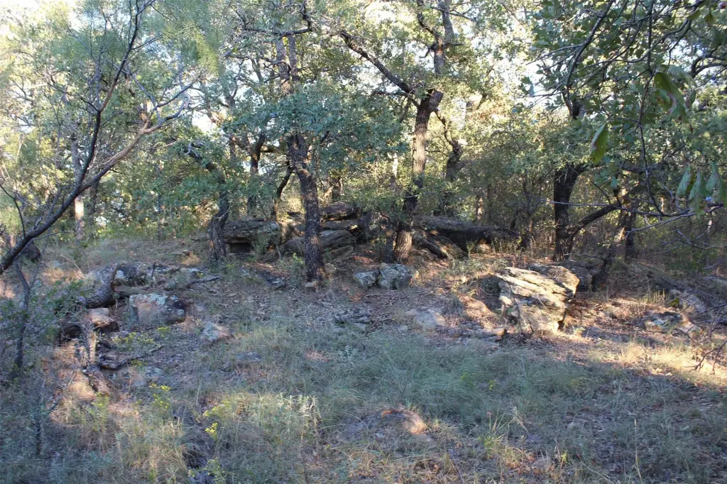 Picture 24