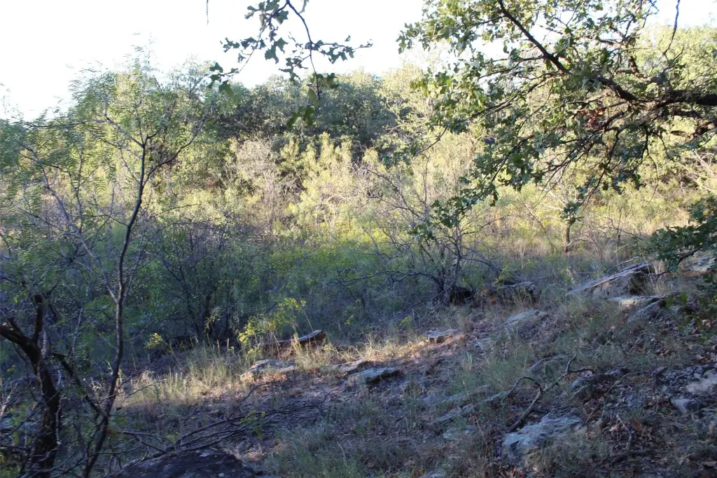 Picture 19