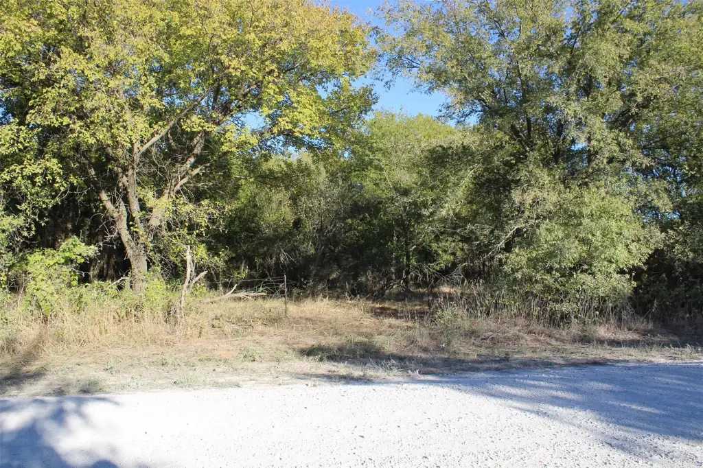 Picture 12