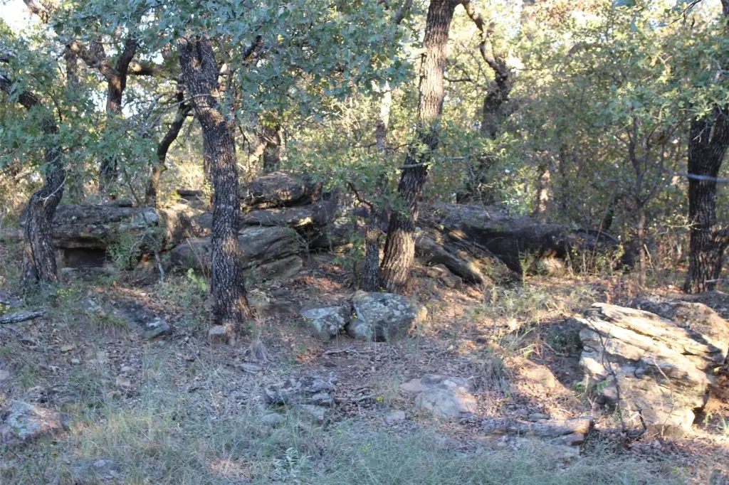 Picture 22