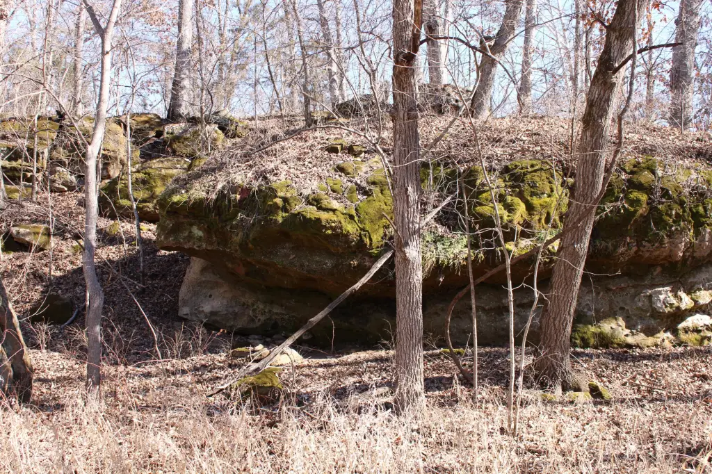 Picture 12