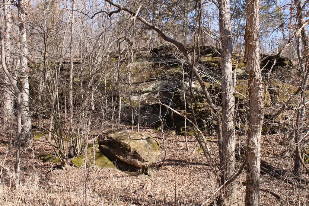 Picture 16