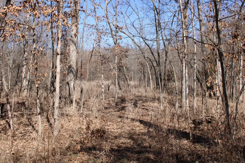 Picture 8