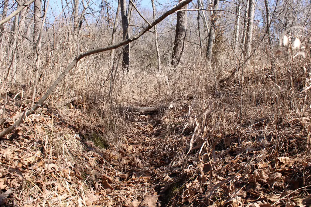 Picture 29