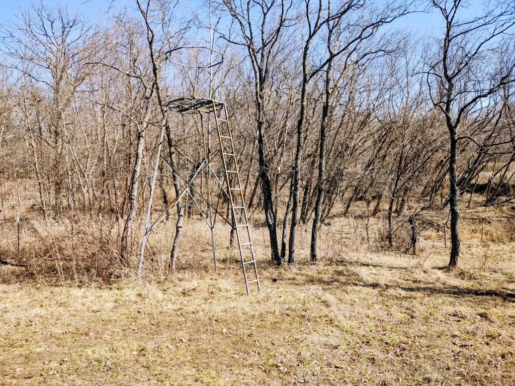 Picture 5