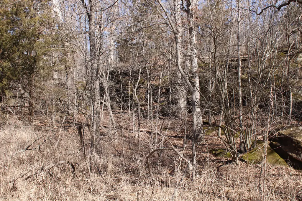 Picture 15