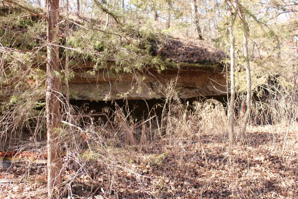 Picture 30