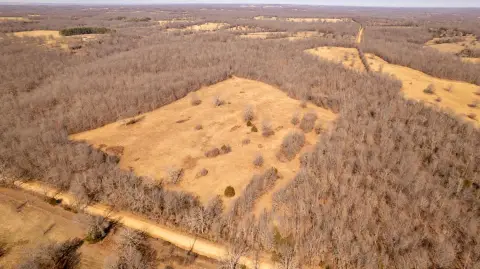 Arkansas Land: Privacy and Potential