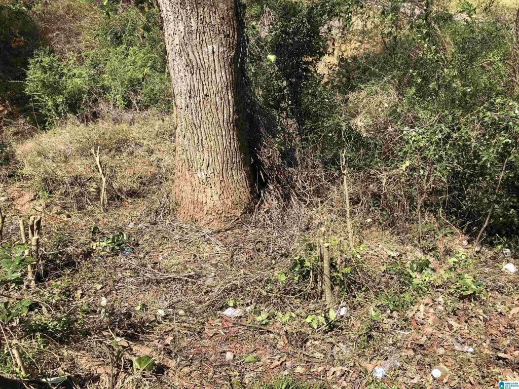 Picture 24