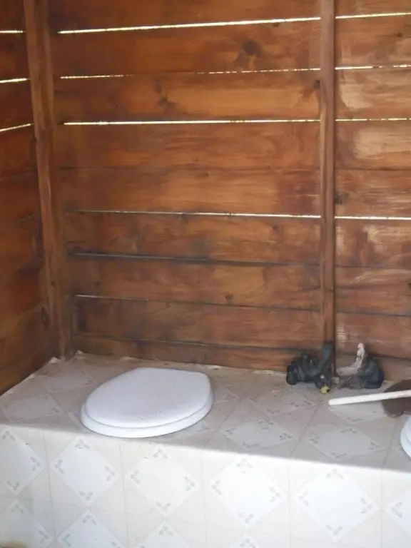 Picture 30