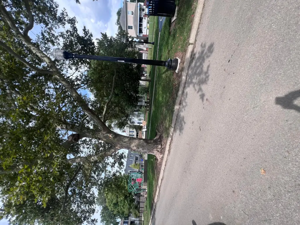 Picture 28