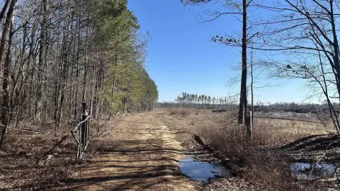 580 Acres Hunting Land in Arkansas