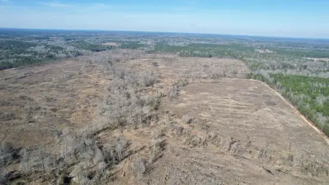 365 Acres Hunting Land in Arkansas