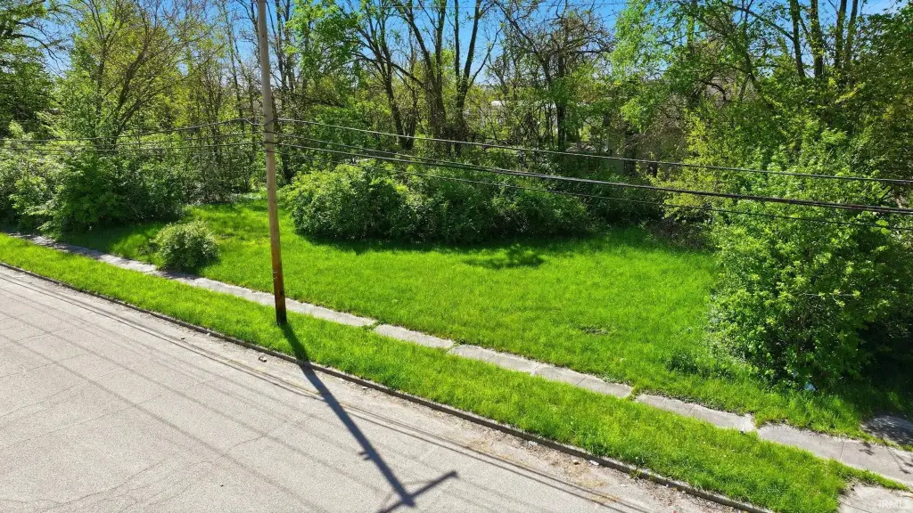 Picture 8