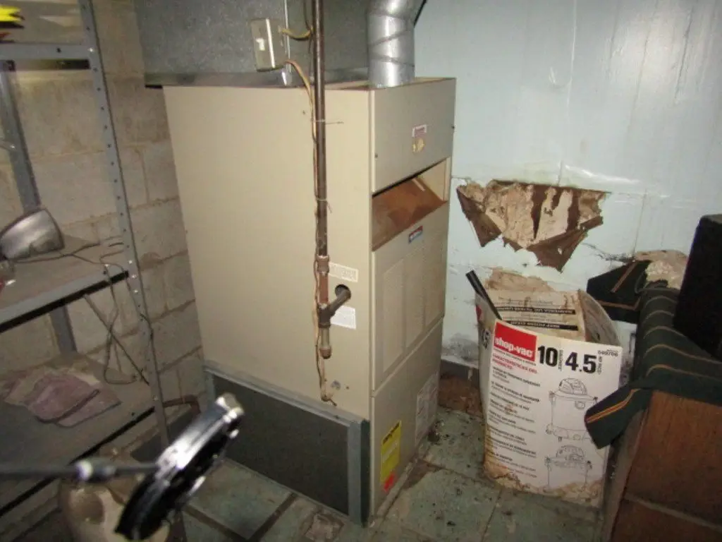 Picture 13