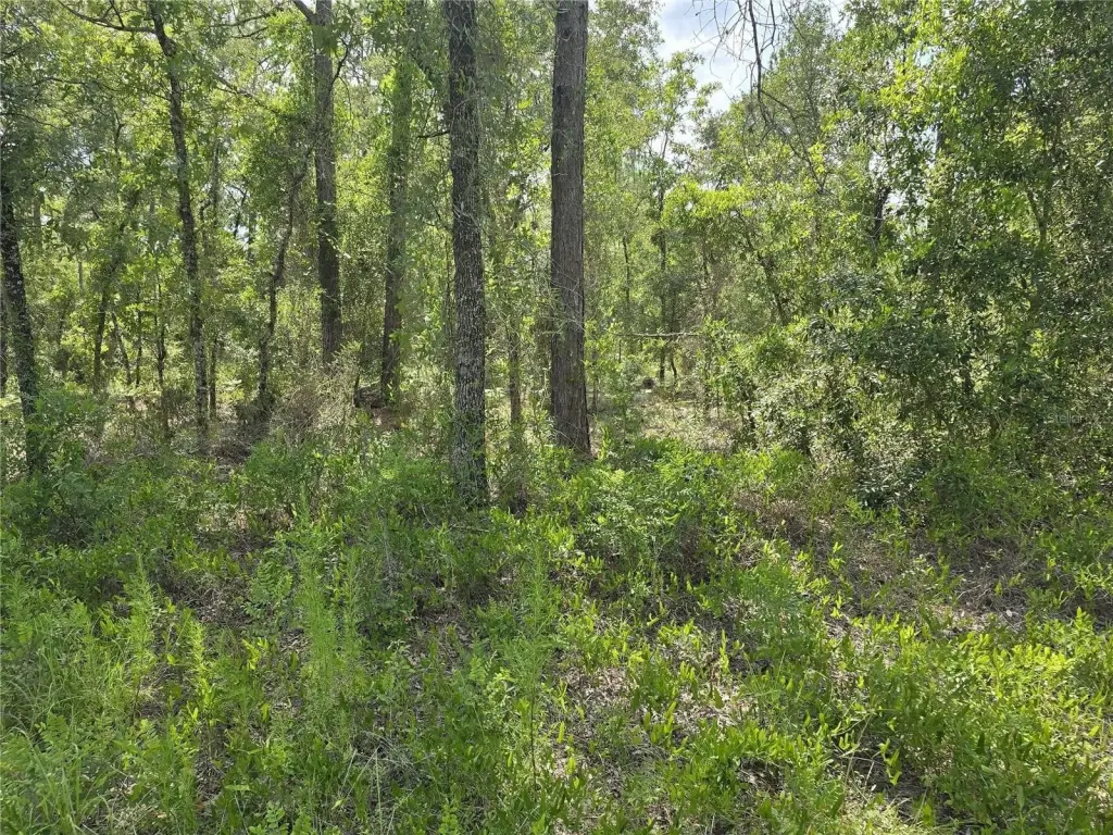 Picture 9