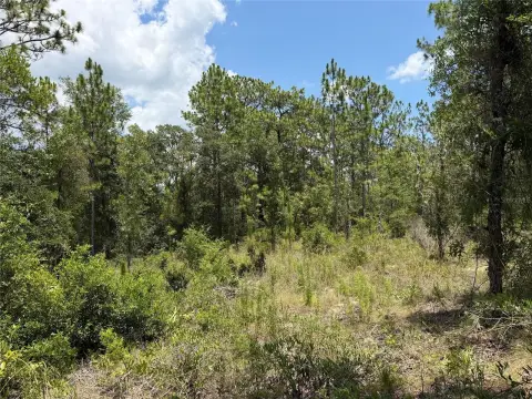 Vacant Residential Lot for Development