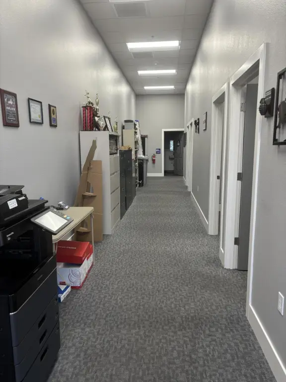 Picture 5