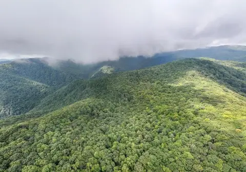 Land with Off-Grid Cabin