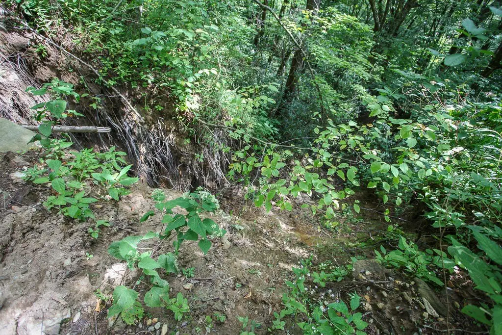 Picture 17