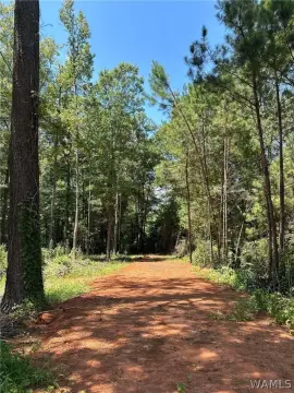 Land in Reform, Alabama