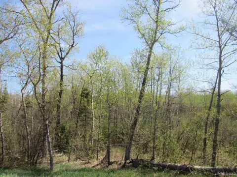Michigan Wooded Parcel For Sale