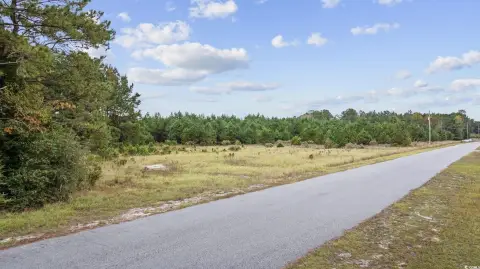 Expansive Acreage Near Loris, SC