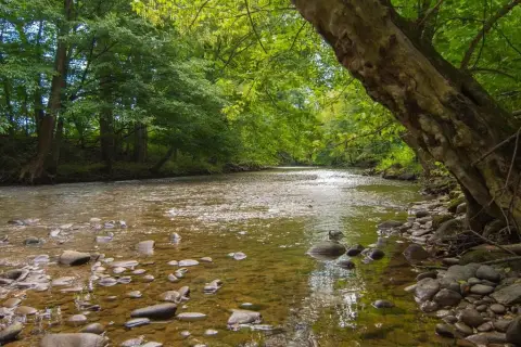 Creekfront Lot with Mountain Views