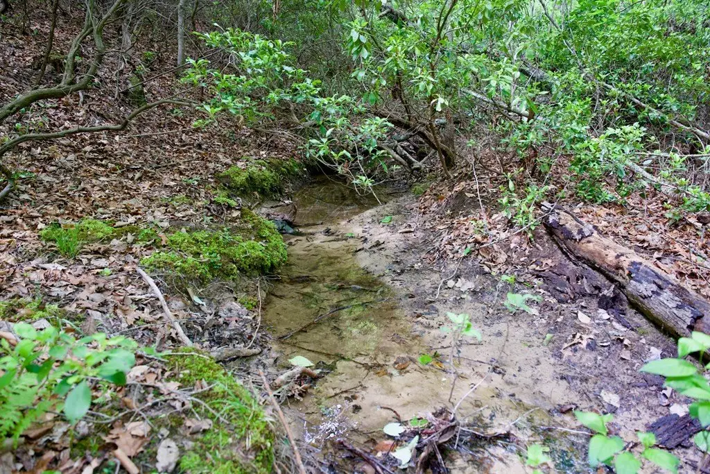 Picture 18