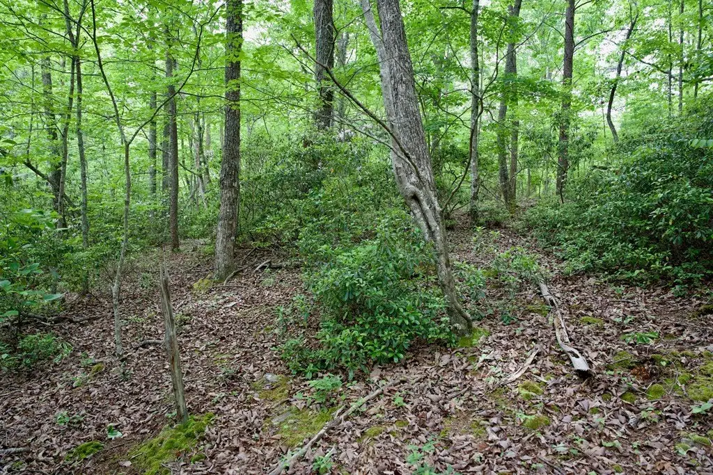 Picture 28