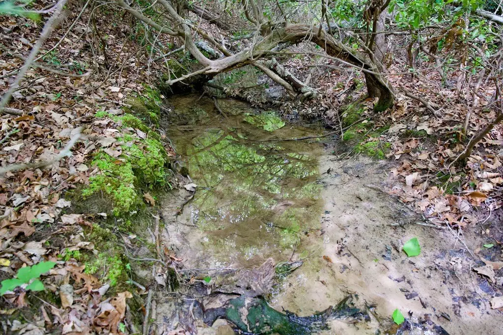 Picture 21
