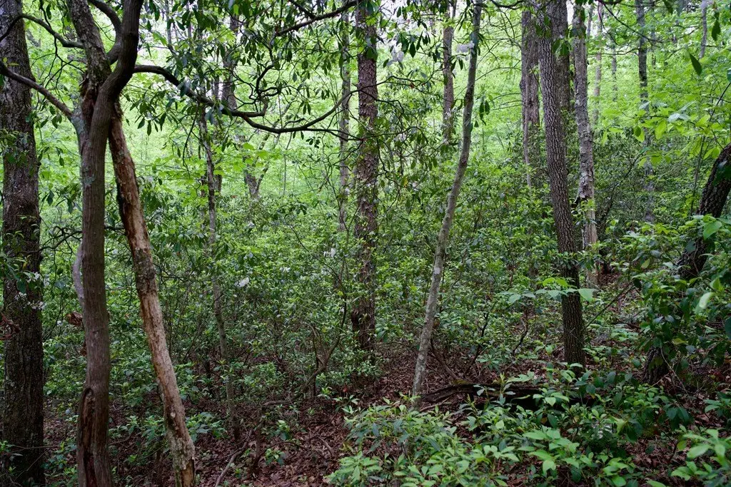 Picture 25